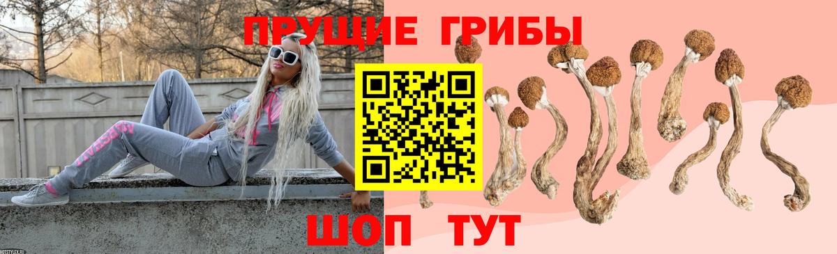 Галлюциногенные грибы мухоморы Петровск